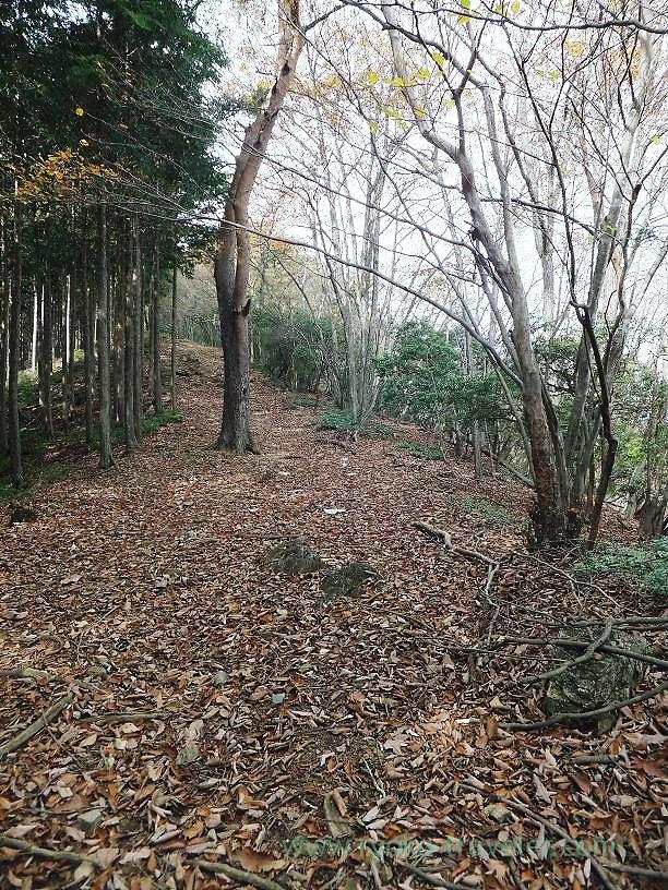Fallen leaves, Mt.Warabi(Naguri)