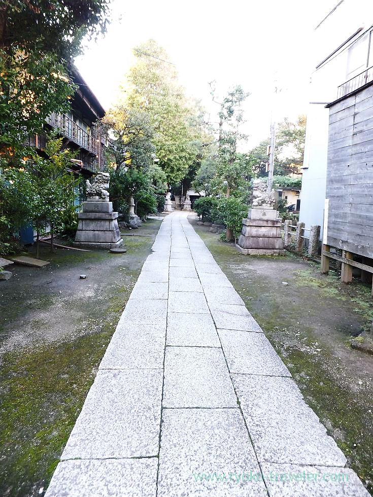 Promnade, Kasuga Jinja shrine (Ichikawa)