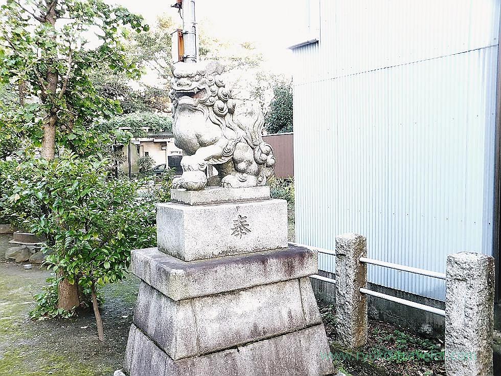 Right Komainu, Kasuga Jinja shrine (Ichikawa)