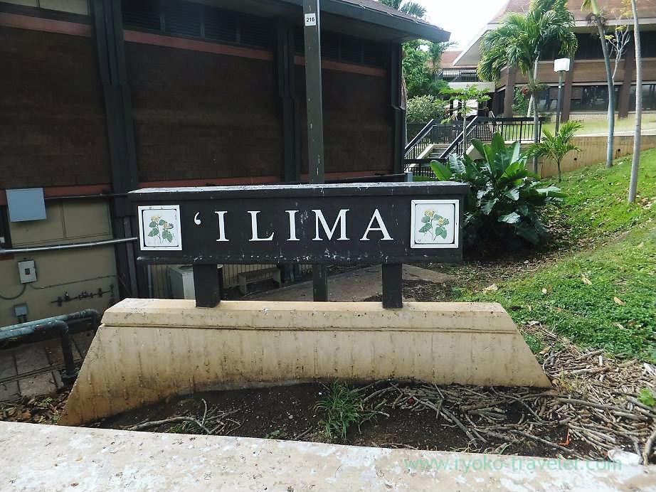 IIMA, Kapiolani community college, Honolulu(Honolulu 2012 winter)