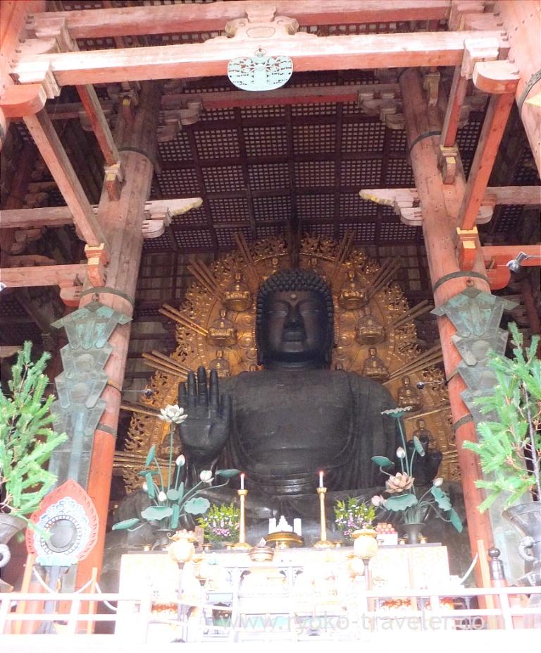 Nara-no-Daibutsu, Todaiji temple (Nara)