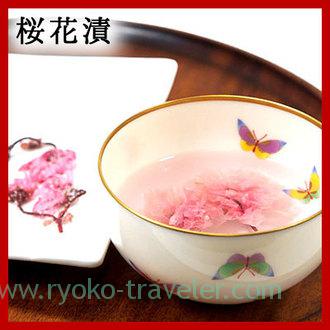 Pickled cherry blossoms with salt（SANUKI UMIMONDOKORO OMORIYA)
