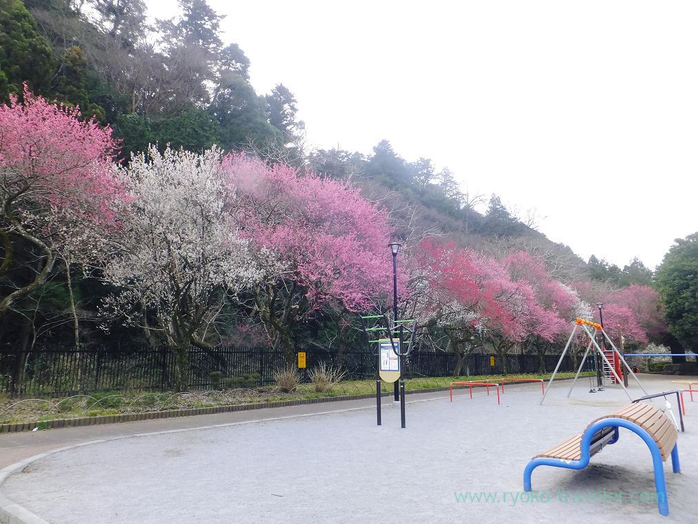 Children's park, Komakino Park (Takao)