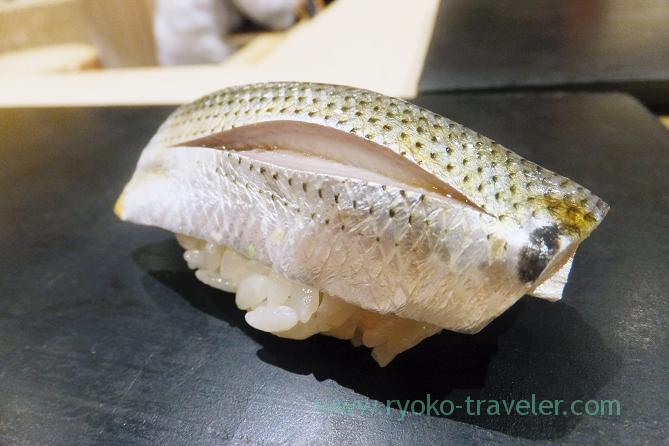 young punctatus, Sushi Hashimoto (Shintomicho)