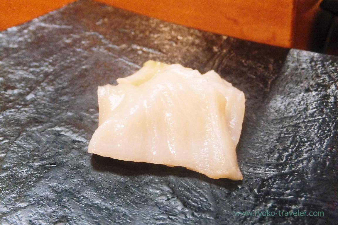Whelk from Samani, Miyakozushi (Bakuro-Yokoyama)