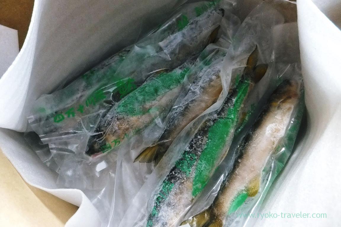 Wild Sweet fish, Hometown tax from Shimanto village