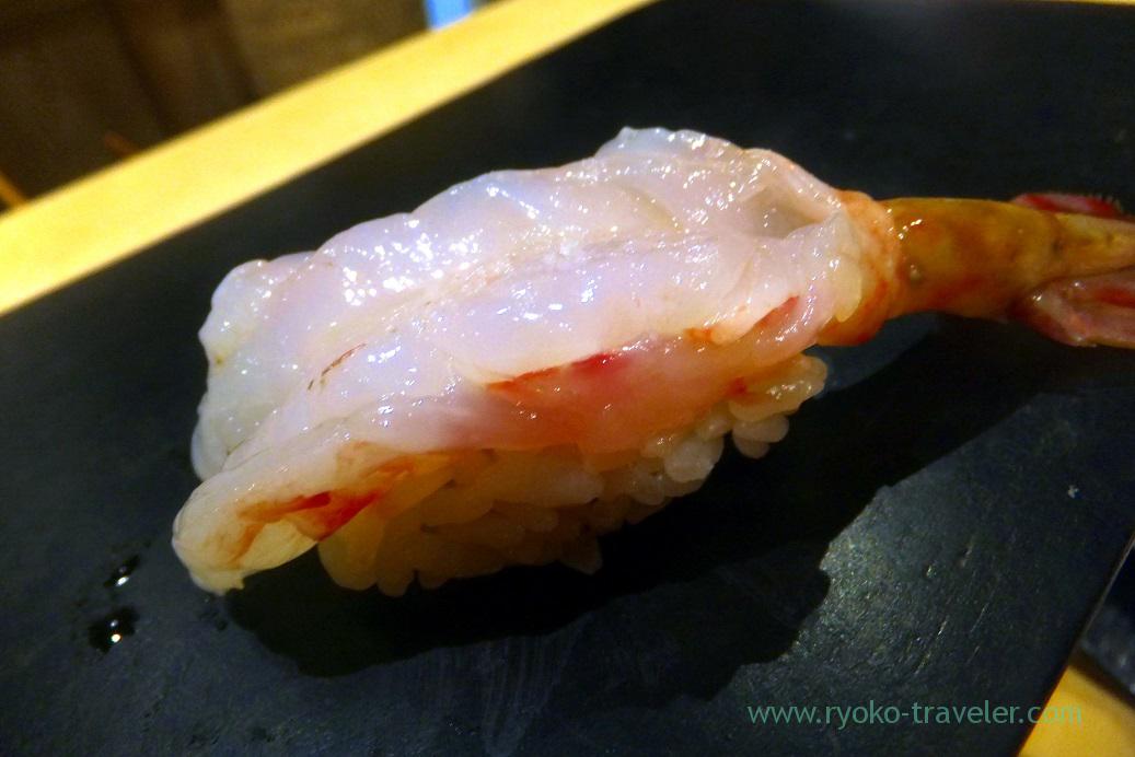 Botan shrimp, Sushi Hashimoto (Shintomicho)