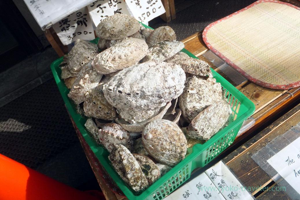 Shells of oysters, Yonehana (Tsukiji Market)