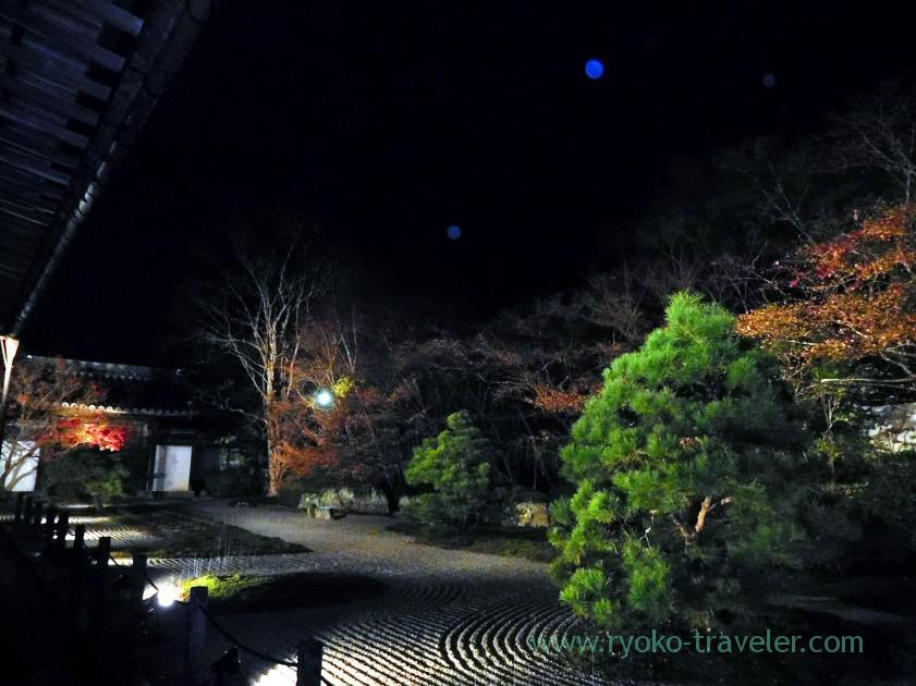 lightup-autumn-garden7-tenjyuan-temple-keage