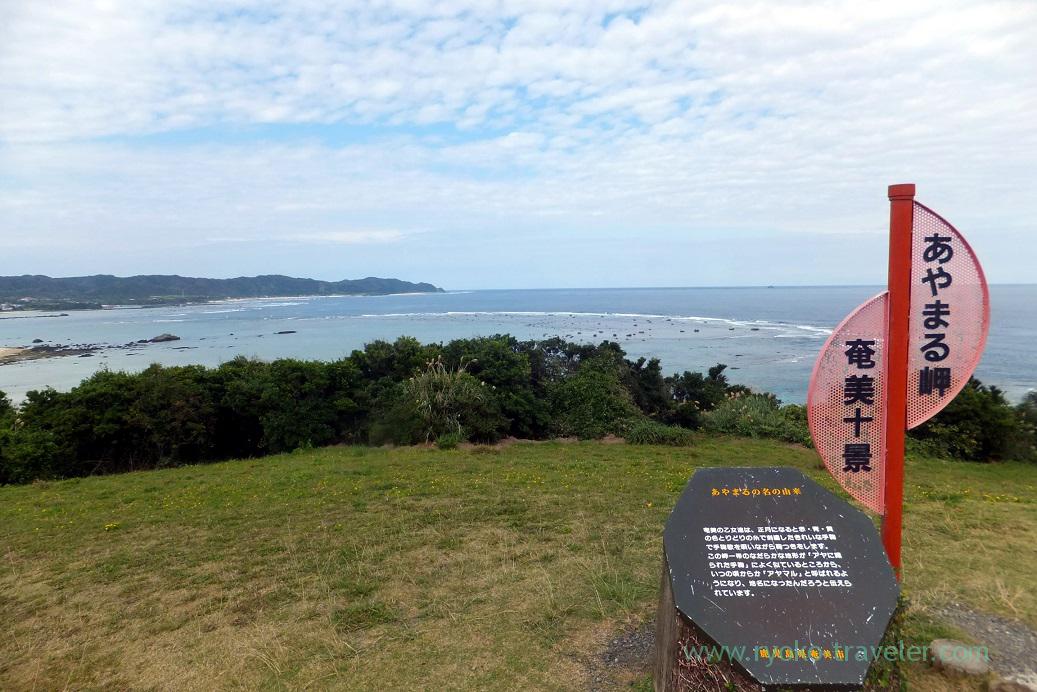 View, Cape Ayamaru (Amami 2015)