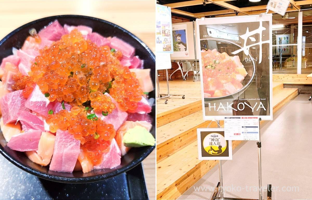 Hakodate Airport Fresh Sashimi Bowls at HAKOYA (outside the security